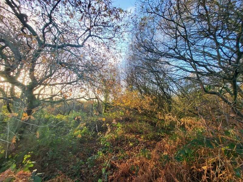 Terrain à TELGRUC-SUR-MER