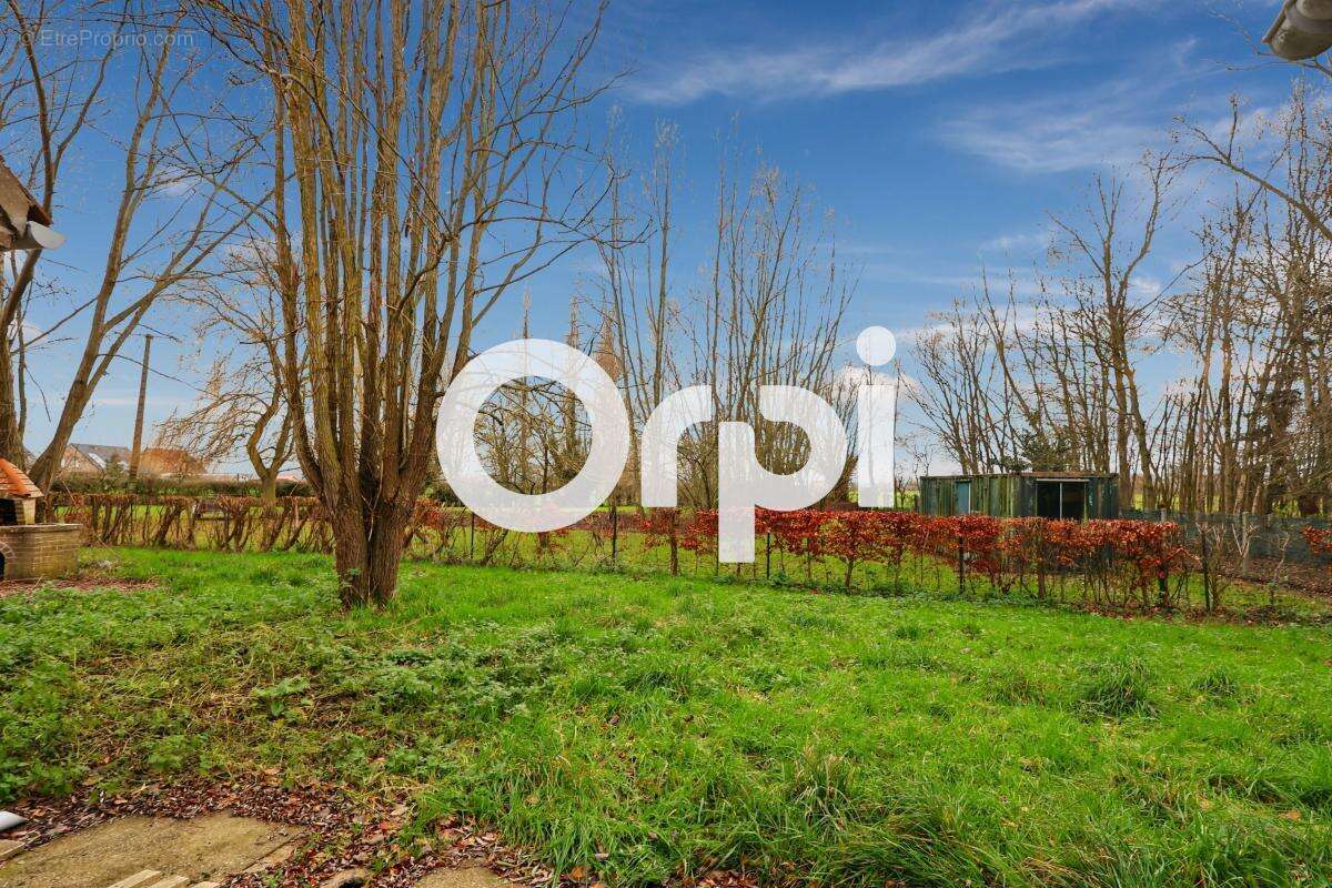 Maison à BUYSSCHEURE