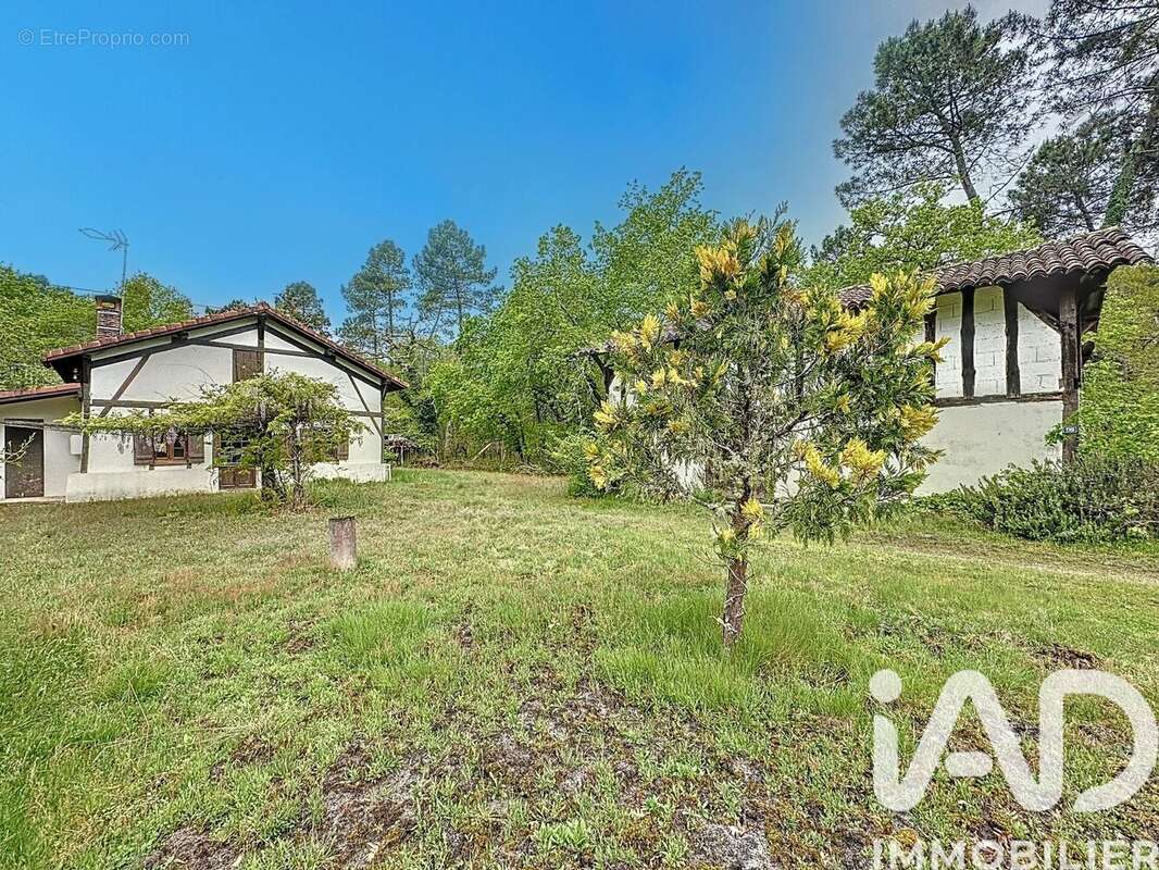 Photo 4 - Maison à ARUE