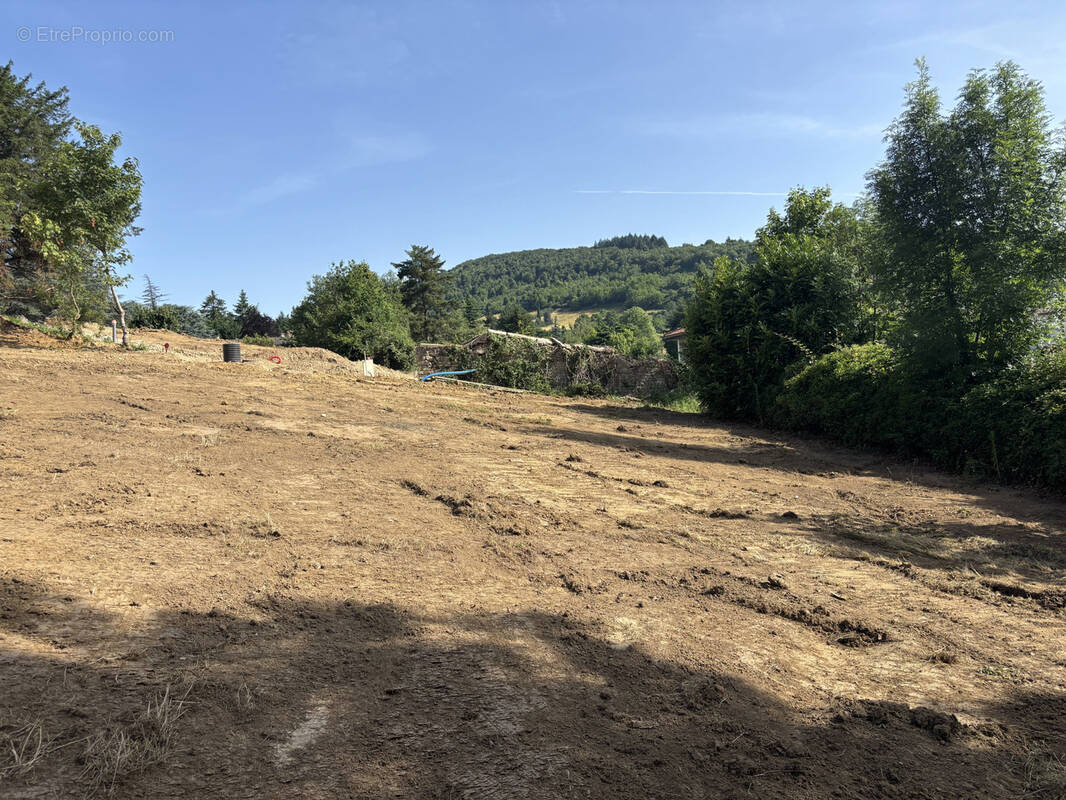 Terrain à SAINT-DIDIER-AU-MONT-D&#039;OR