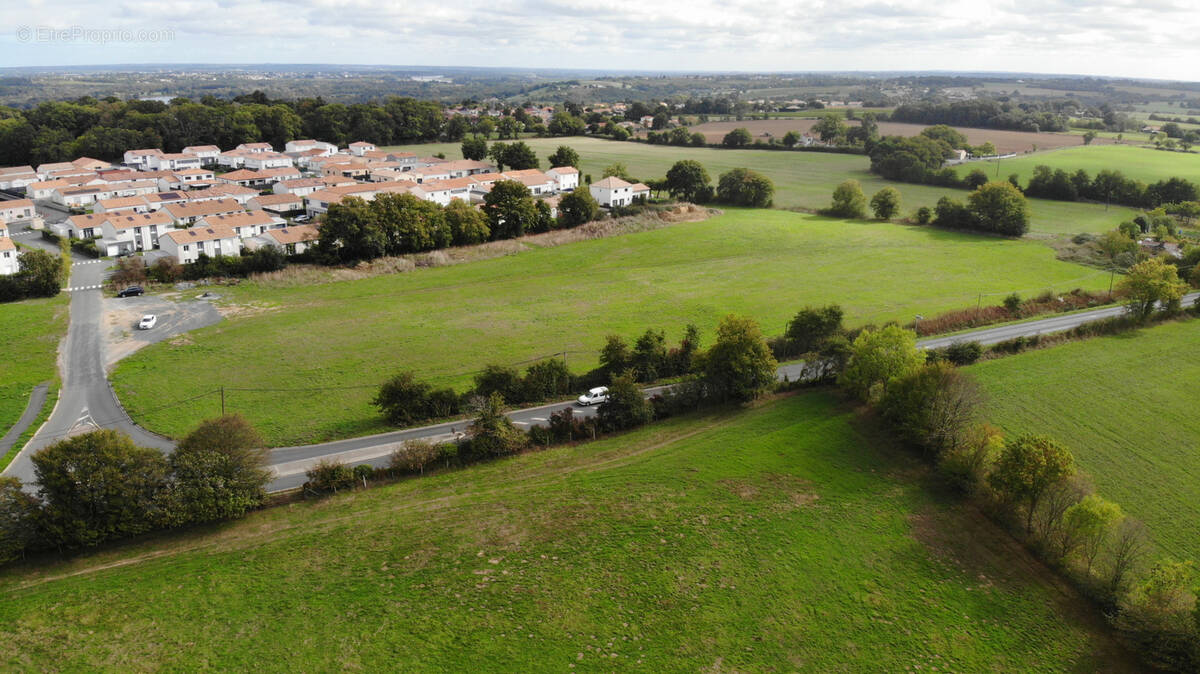 Terrain à CHAMPTOCEAUX
