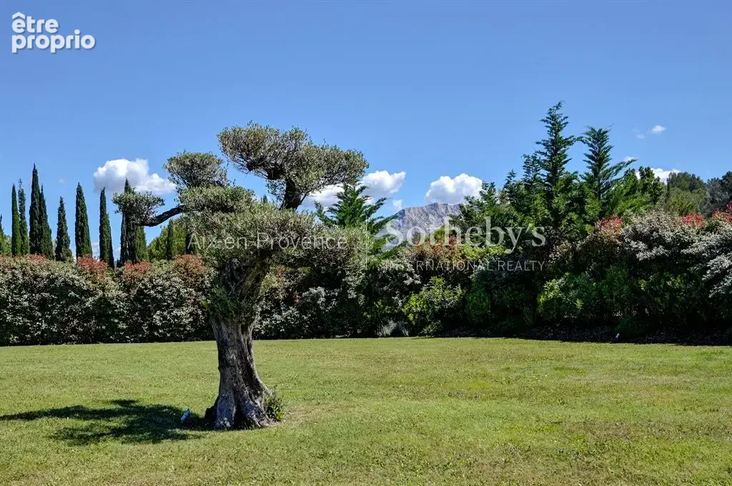 Villa Californienne - Vue Ste Victoire - photo 16