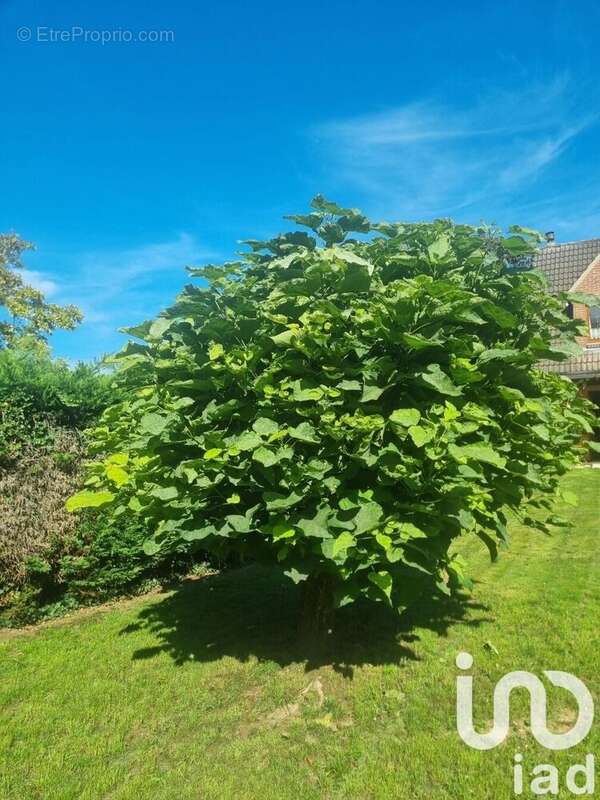 Photo 4 - Maison à VILLENEUVE-D&#039;ASCQ