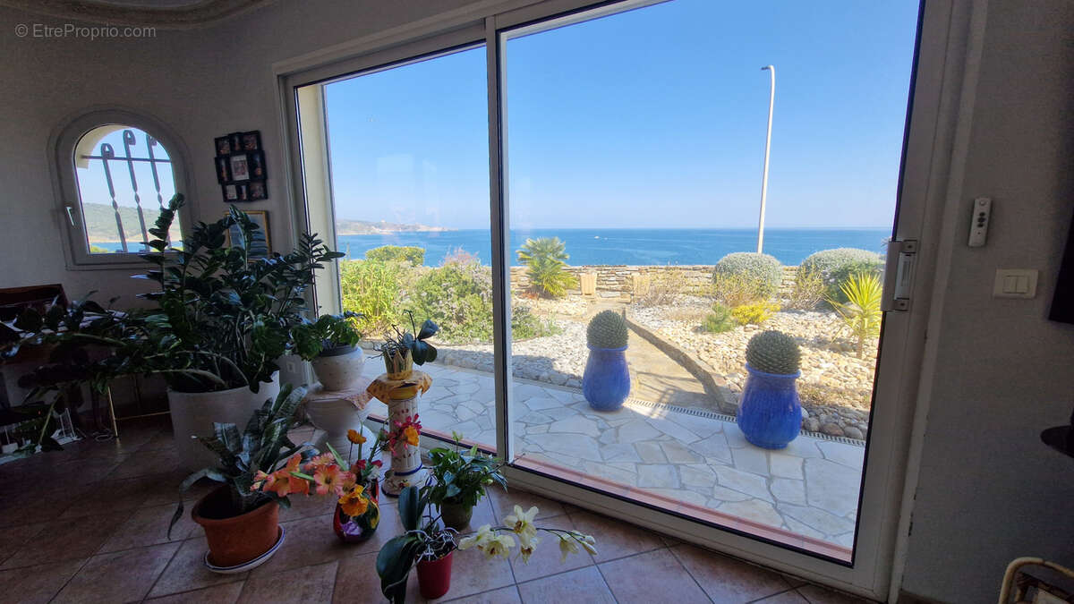 Appartement à BANYULS-SUR-MER