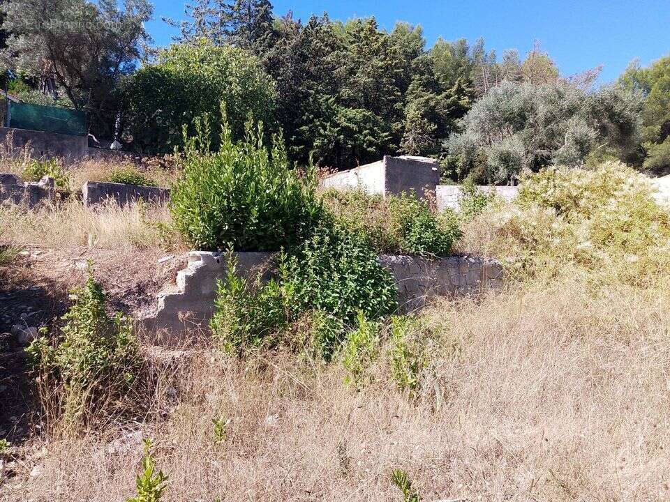 Terrain à SANARY-SUR-MER
