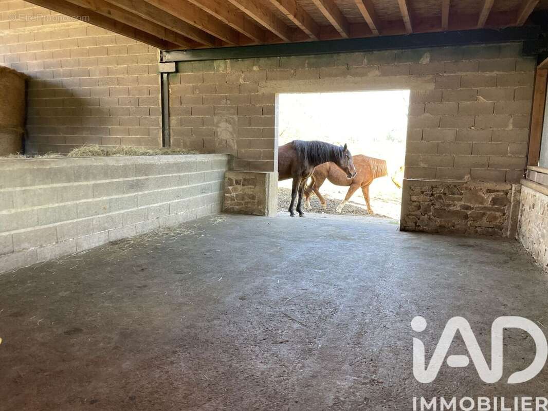 Photo 9 - Maison à LA COQUILLE