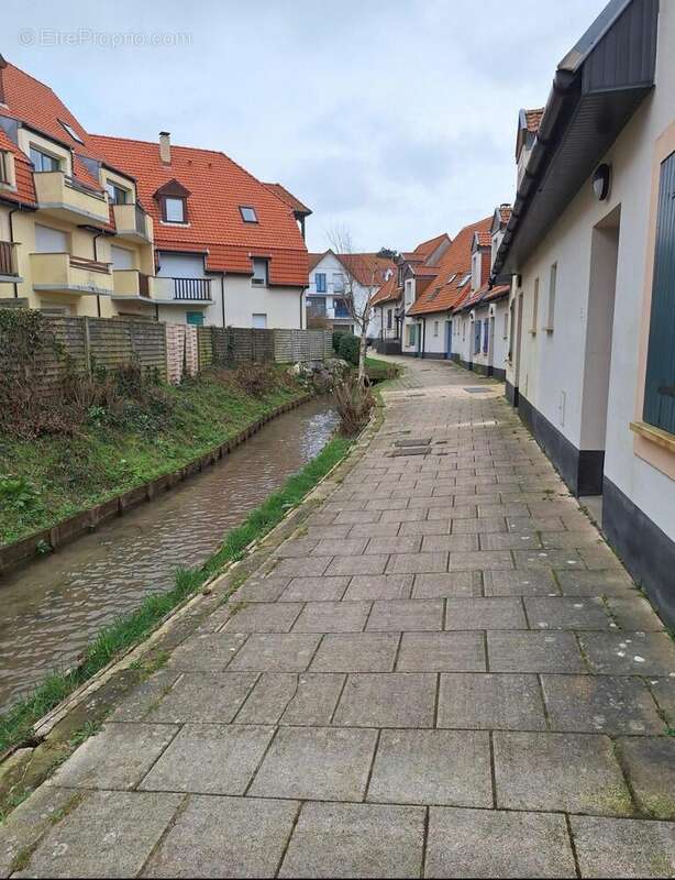 Photo 9 - Appartement à WISSANT