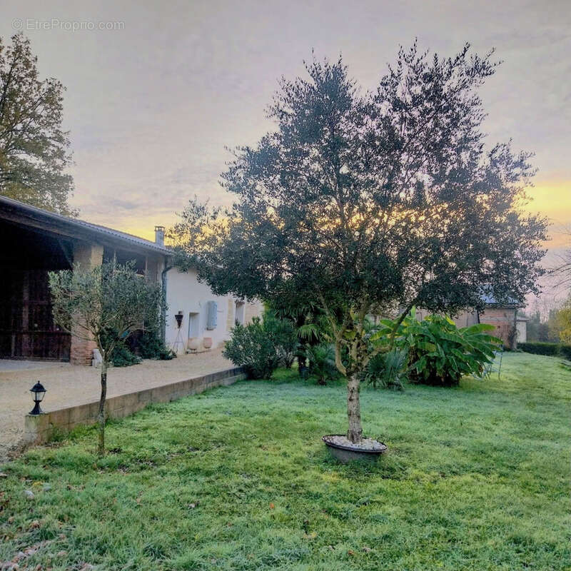 Maison à LAMOTHE-CAPDEVILLE