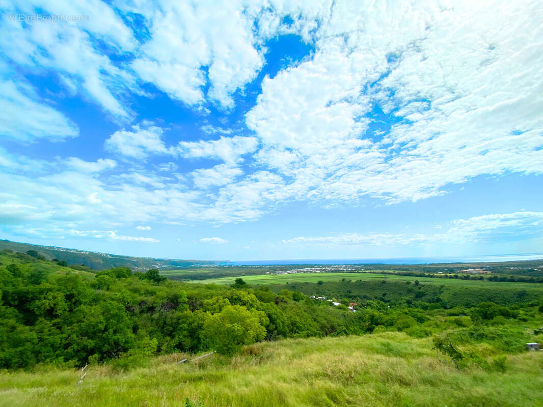Terrain à SAINT-PAUL