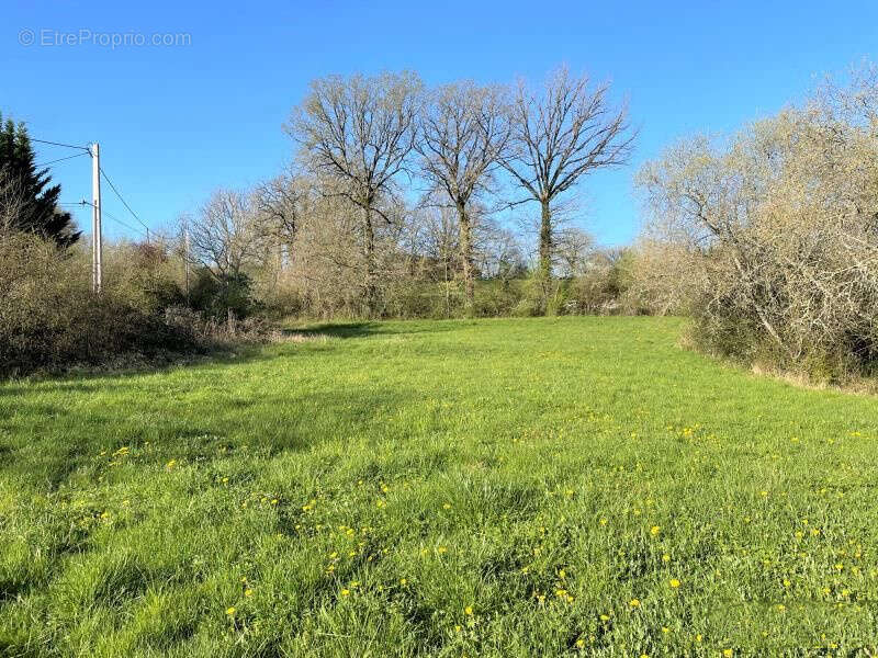 Terrain à PUYLAGARDE