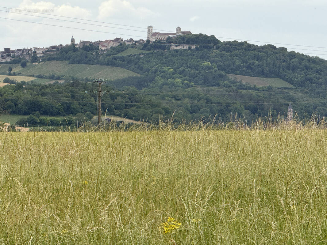 Terrain à VEZELAY