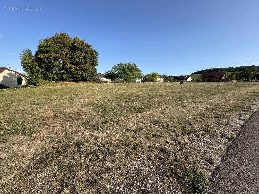 Terrain 3127 m² à Ailleville · 82 000 €