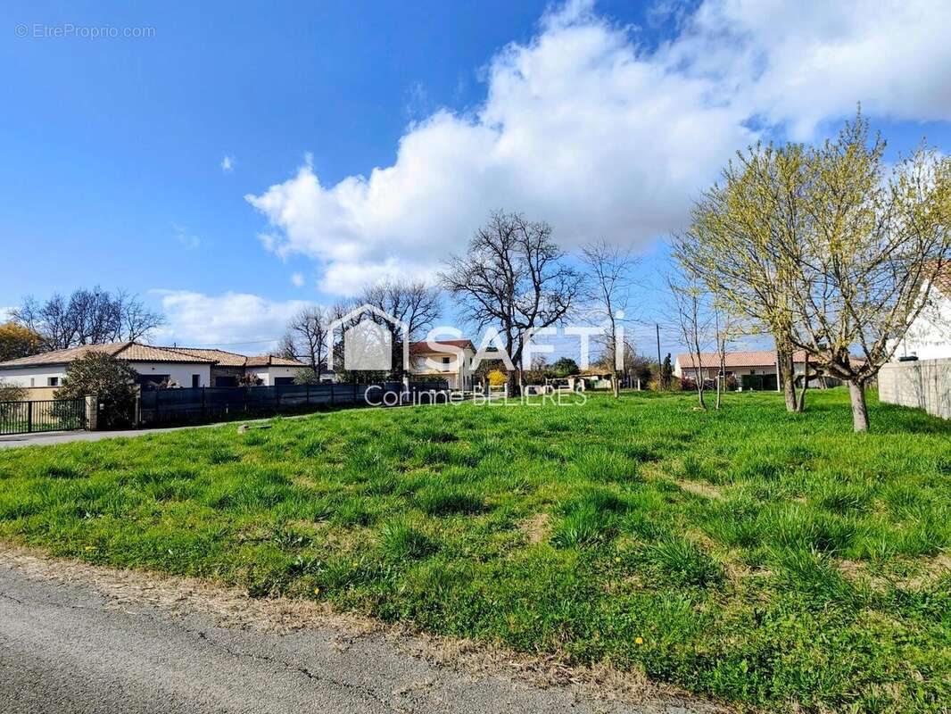 Photo 2 - Terrain à MONTAUBAN