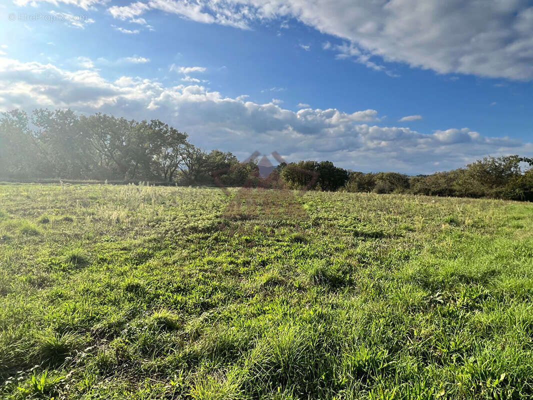 Terrain à SAINT-VICTOR-DE-MALCAP
