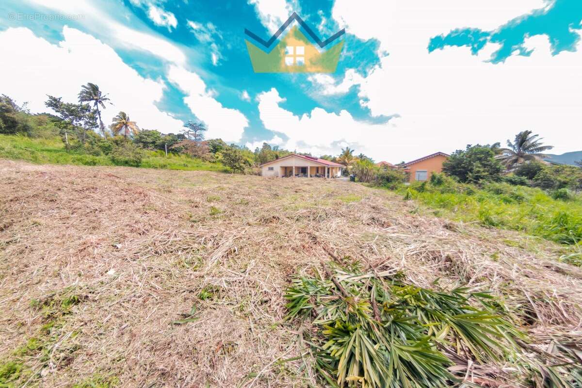 Terrain à LE MORNE-ROUGE