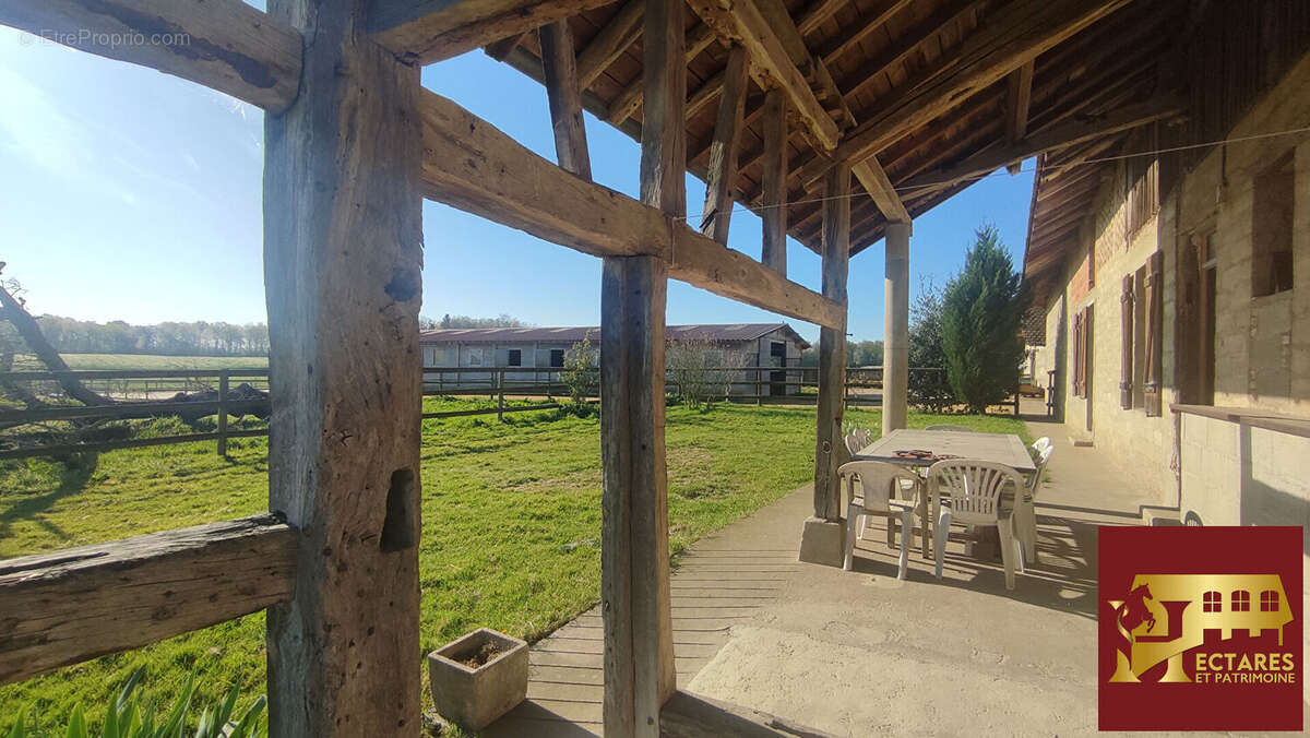 Maison à SAINT-TRIVIER-DE-COURTES