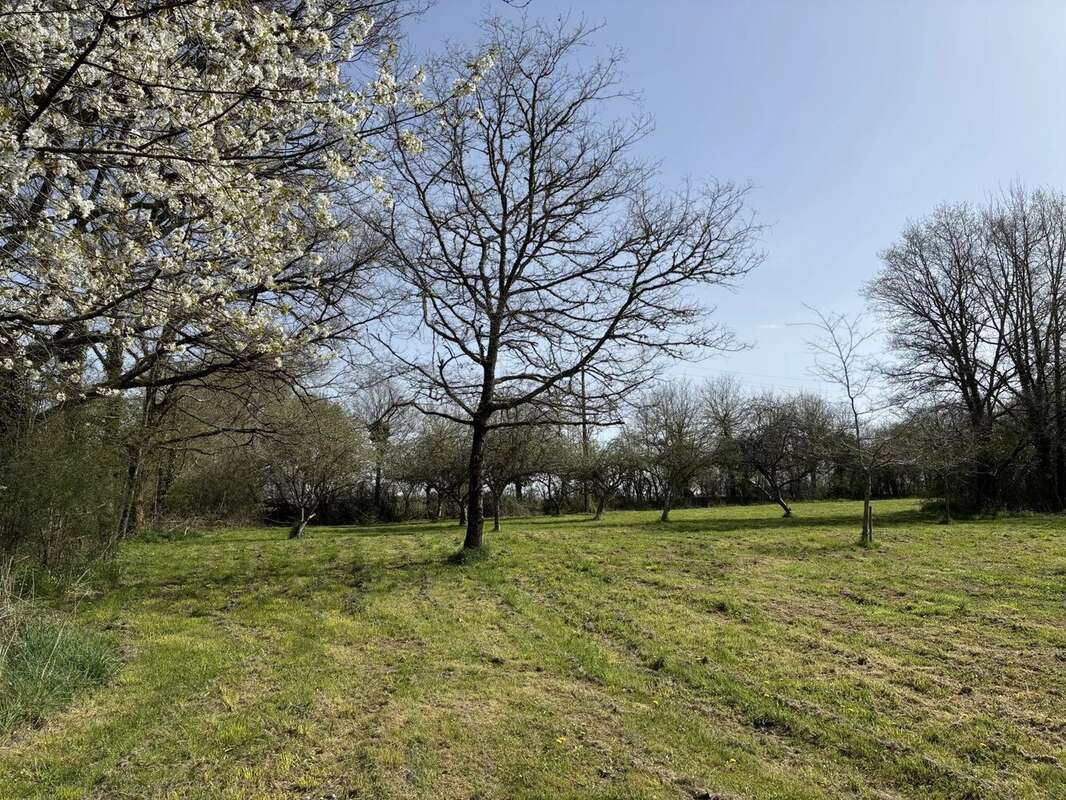 Maison à L&#039;ISLE-JOURDAIN