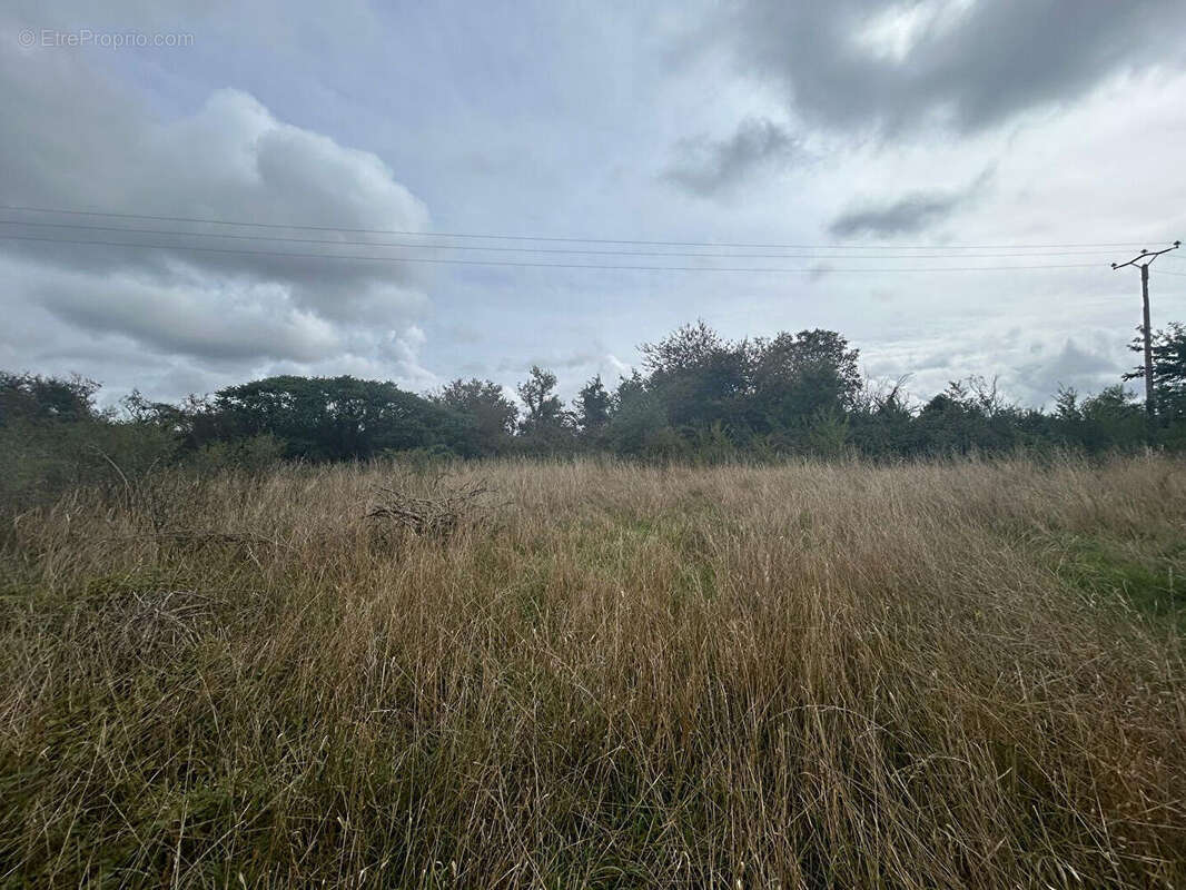 Maison à JUSSY-LE-CHAUDRIER