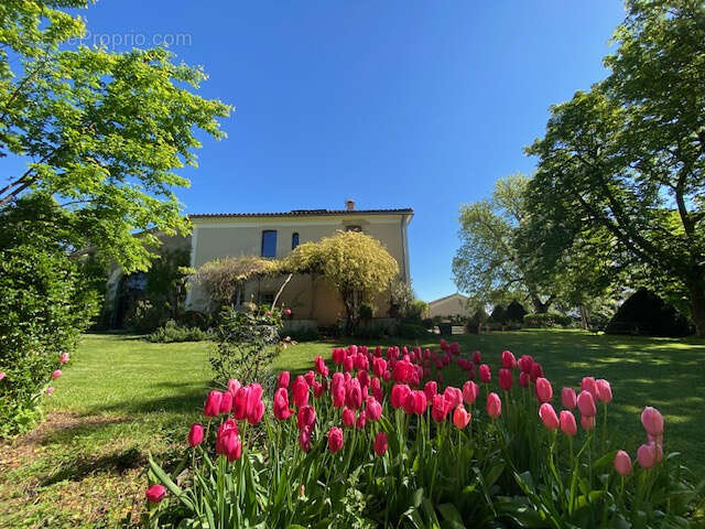 Maison à AUCH