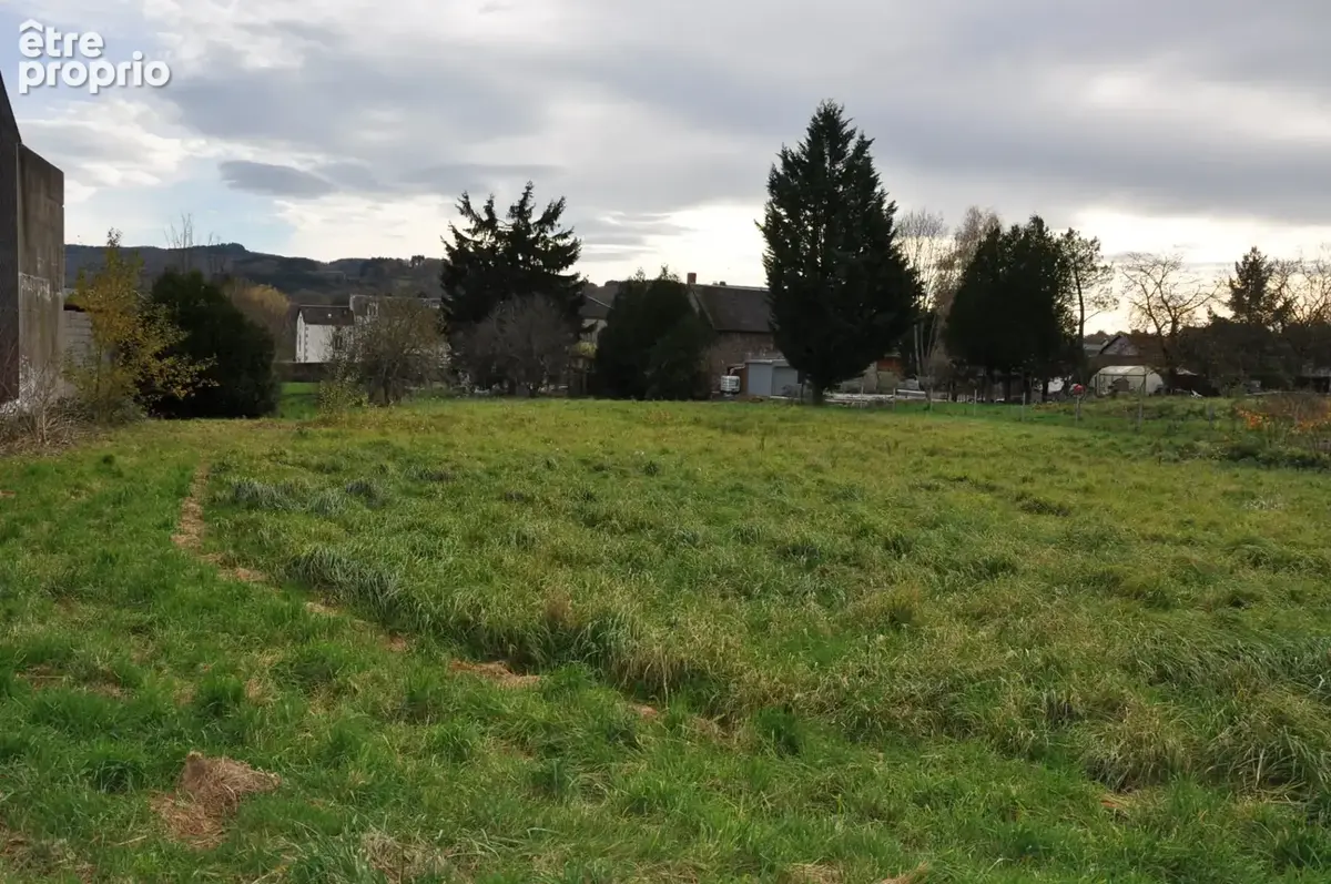 Beau terrain à bâtir de 2622 m2 à LE MAYET-DE-MONTAGNE - photo 2