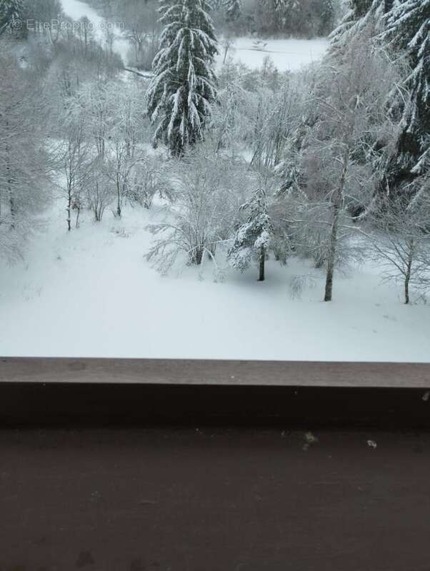 Appartement à LAGUIOLE