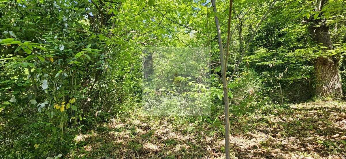 Terrain à LE COLLET-DE-DEZE