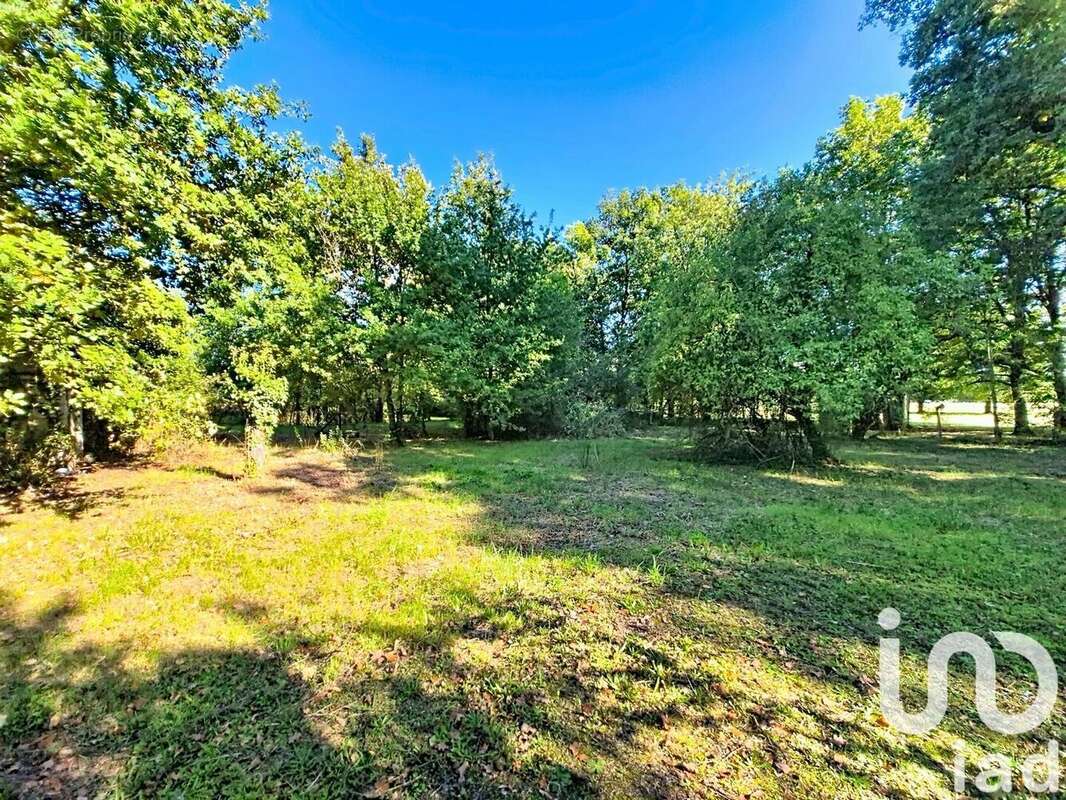 Photo 3 - Maison à NOYERS