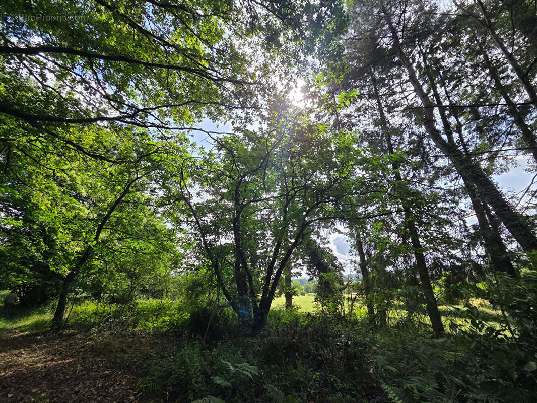 Belle maison familiale sur sous-sol total à Sainte-Sabine-sur-Longève - photo 15
