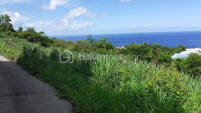 Terrain à VIEUX-HABITANTS