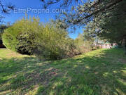 Terrain à TALMONT-SAINT-HILAIRE