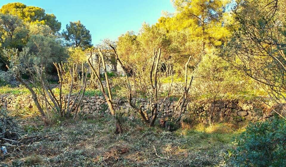 Terrain à TOULON