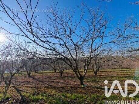 Photo 4 - Terrain à OZON