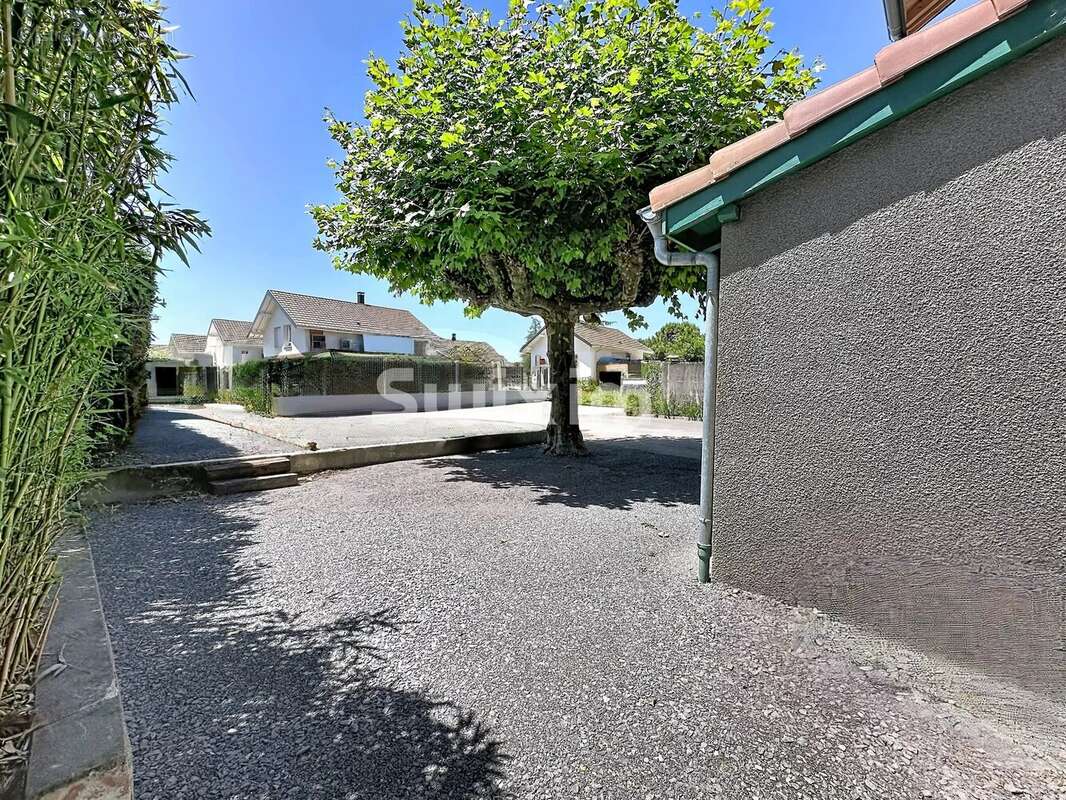 Maison à MASSONGY