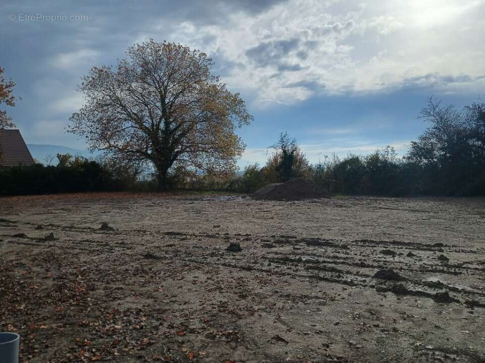 Terrain à PREVESSIN-MOENS