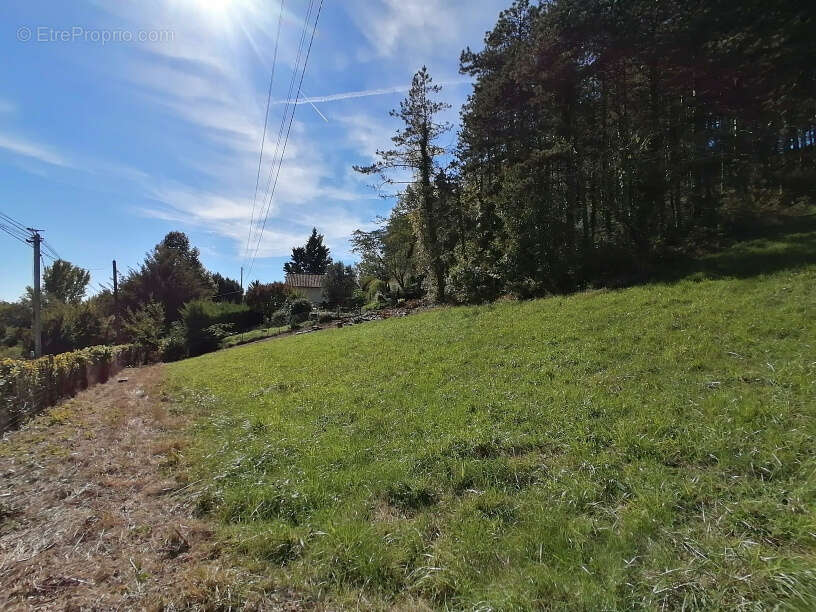 Terrain à MALAUSE