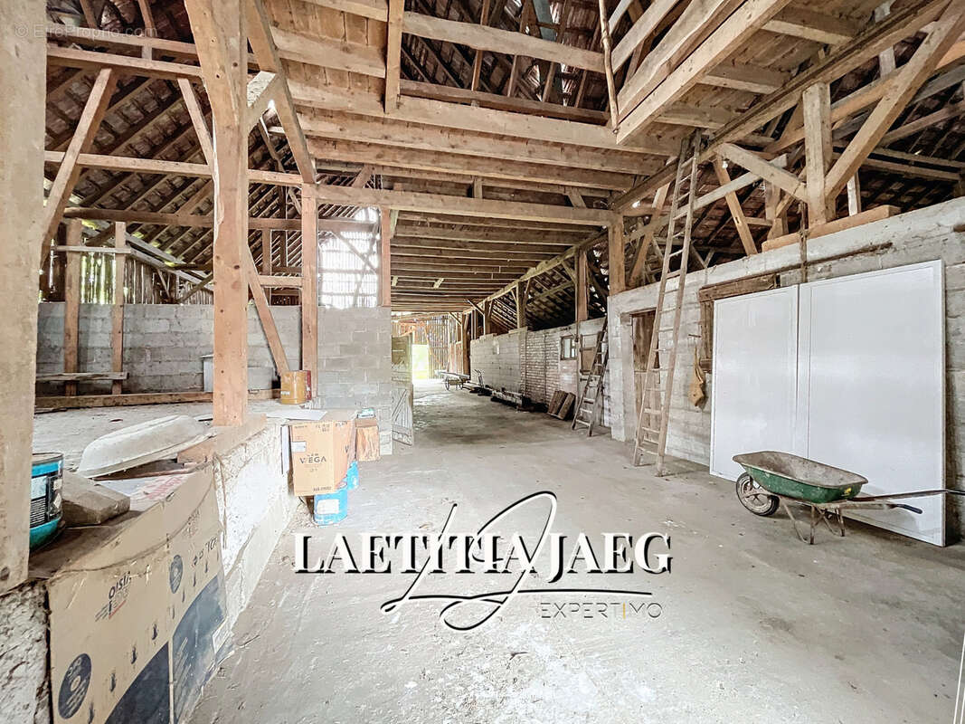 Terrain à BOOFZHEIM