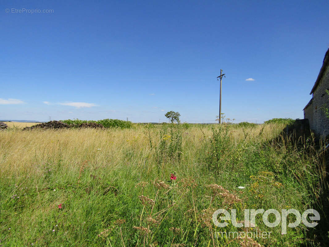 Terrain non constructible - photo 3