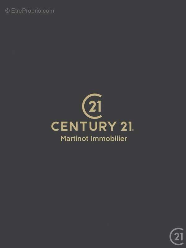 Maison à VILLENEUVE-SUR-YONNE