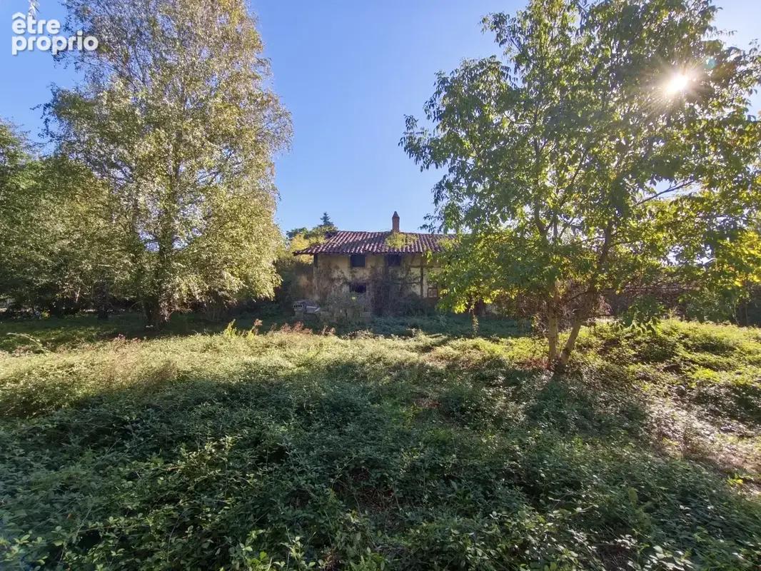À VENDRE   Terrain constructible de 3 599 m2 avec bâtiment à rénover   Polliat - photo 3