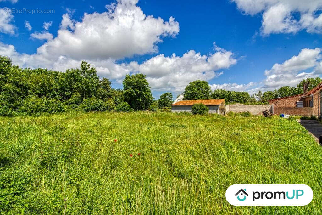 Terrain à OYE-PLAGE