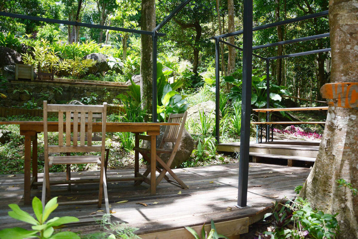 Terrain à POINTE-NOIRE