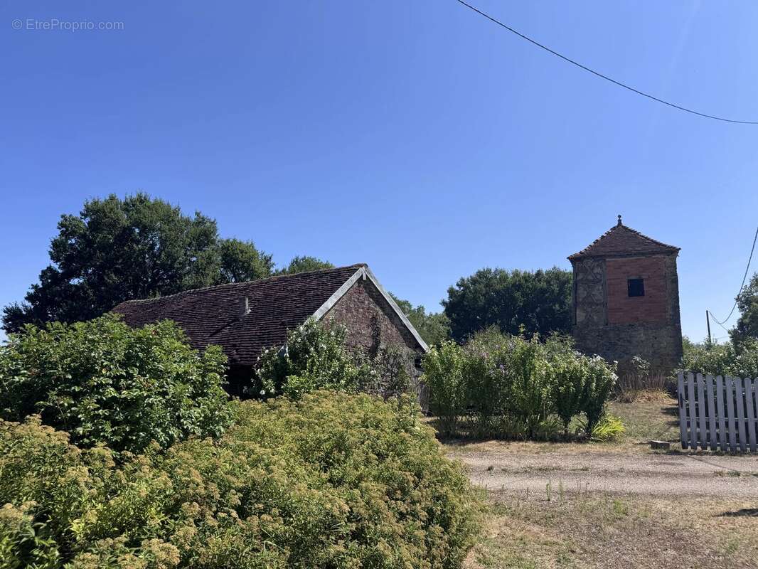 Ferme bressane de caractère sur près de 2,7 hectares – Un véritable havre de paix aux portes de Louhans - photo 7