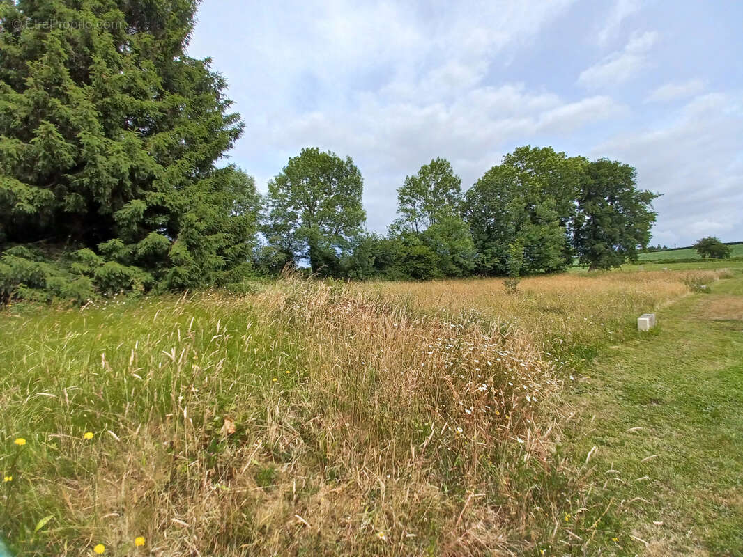 Terrain à SAINT-PAUL-EN-GATINE