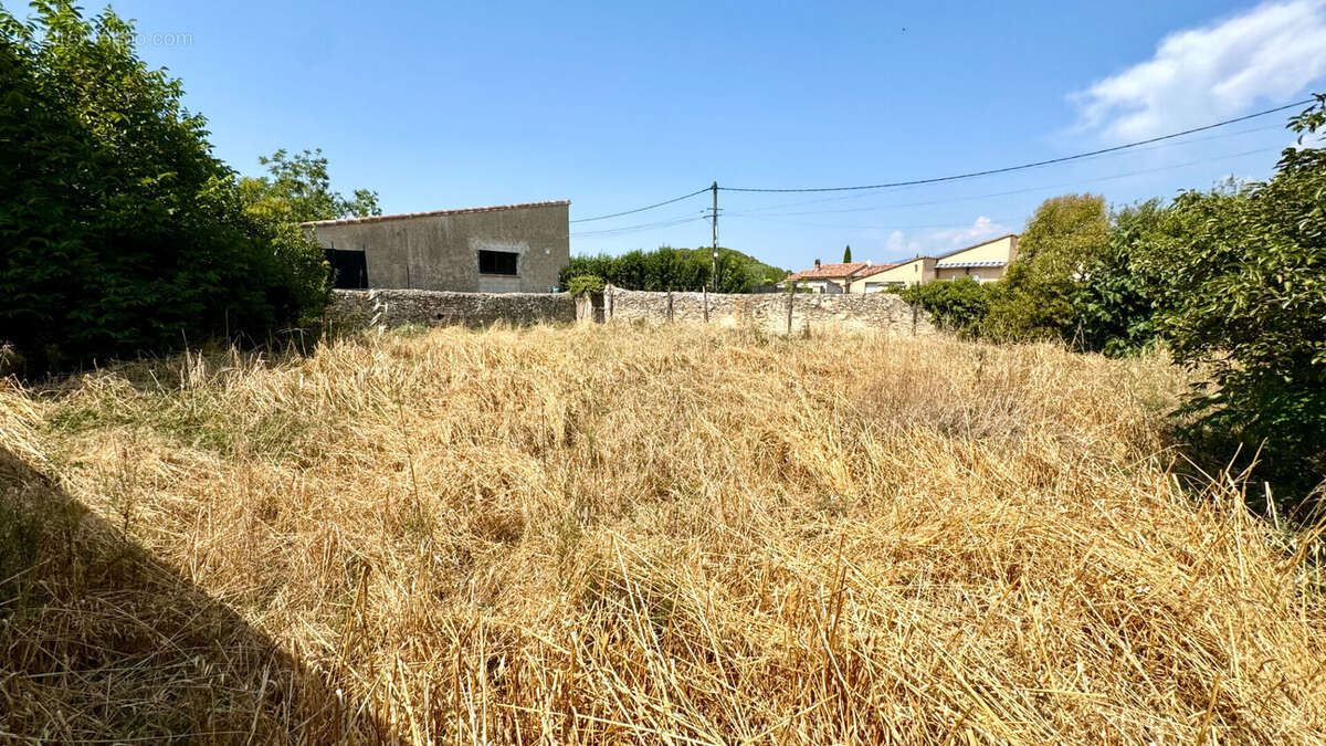 Terrain à MALEMORT-DU-COMTAT