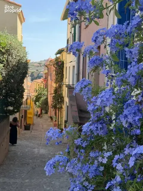 Maison de pêcheur à vendre dans le vieux Collioure - photo 18