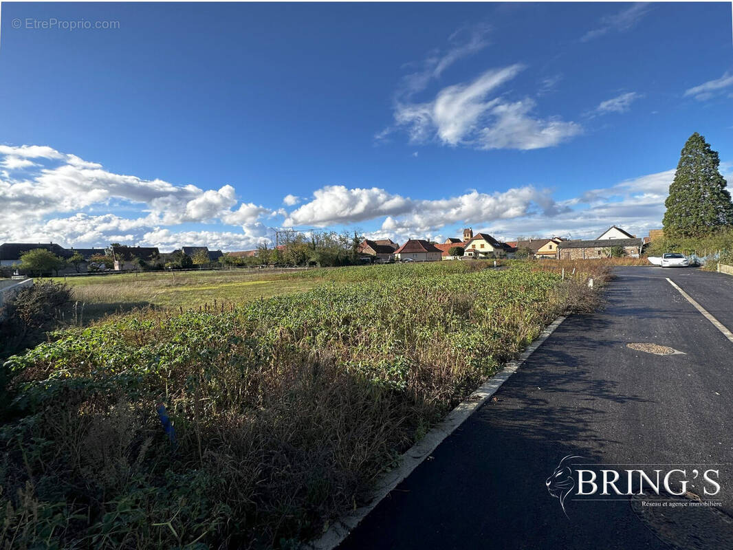 Terrain à MEYENHEIM