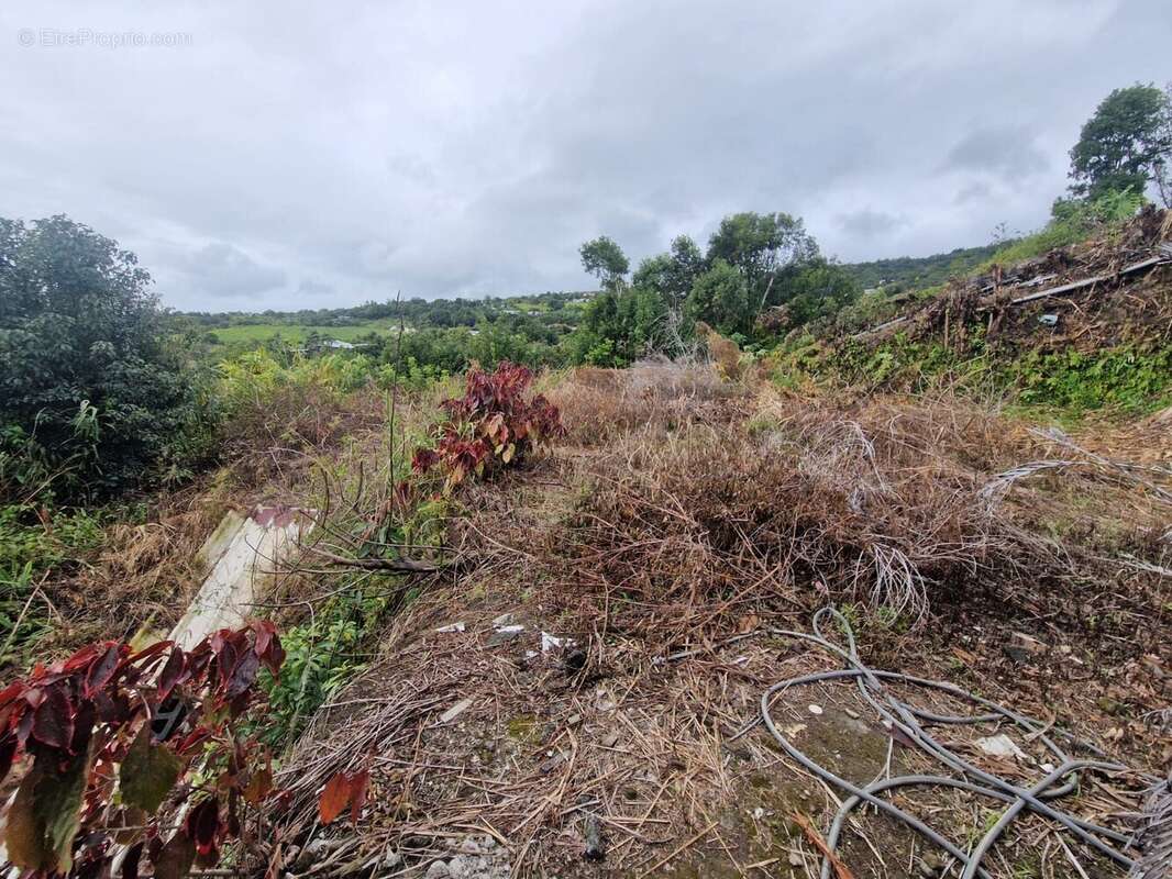 Terrain à SAINTE-MARIE