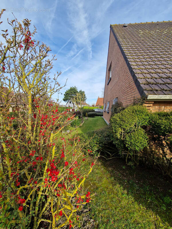 Maison à TETEGHEM
