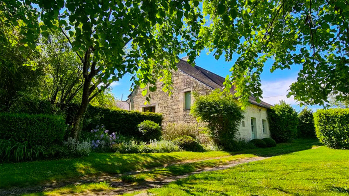 Maison à BRISSAC-QUINCE