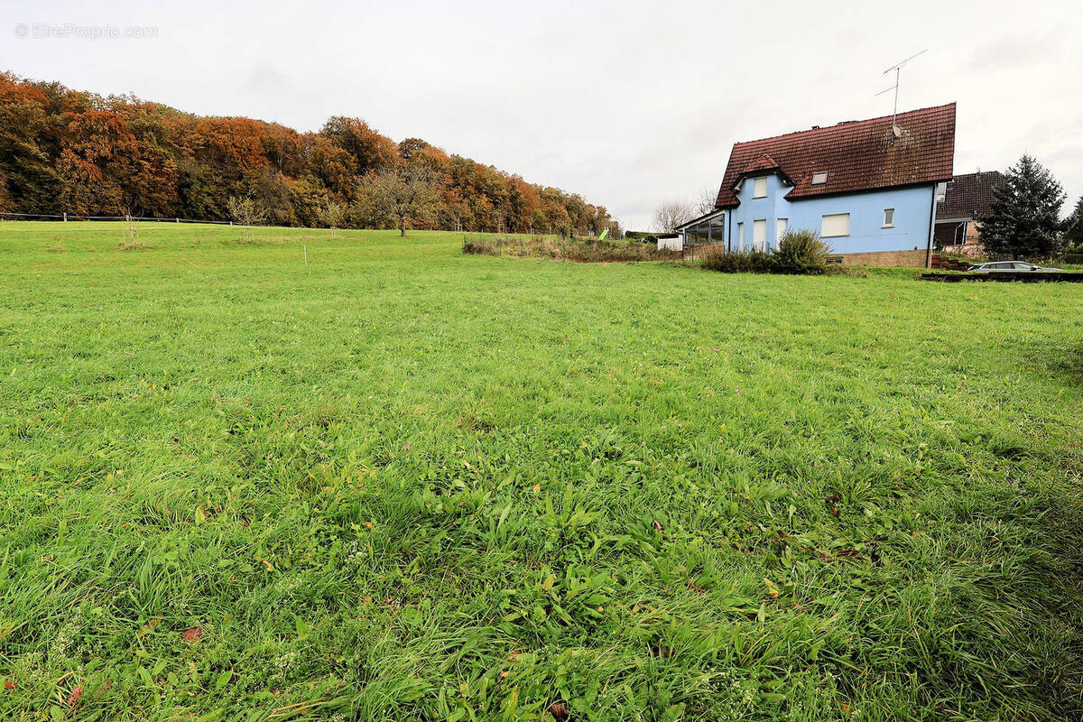 Terrain à STEINSOULTZ